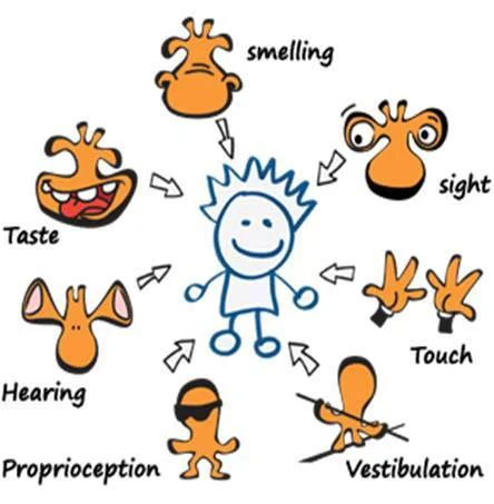 Understanding Sensory Processing Disorder
