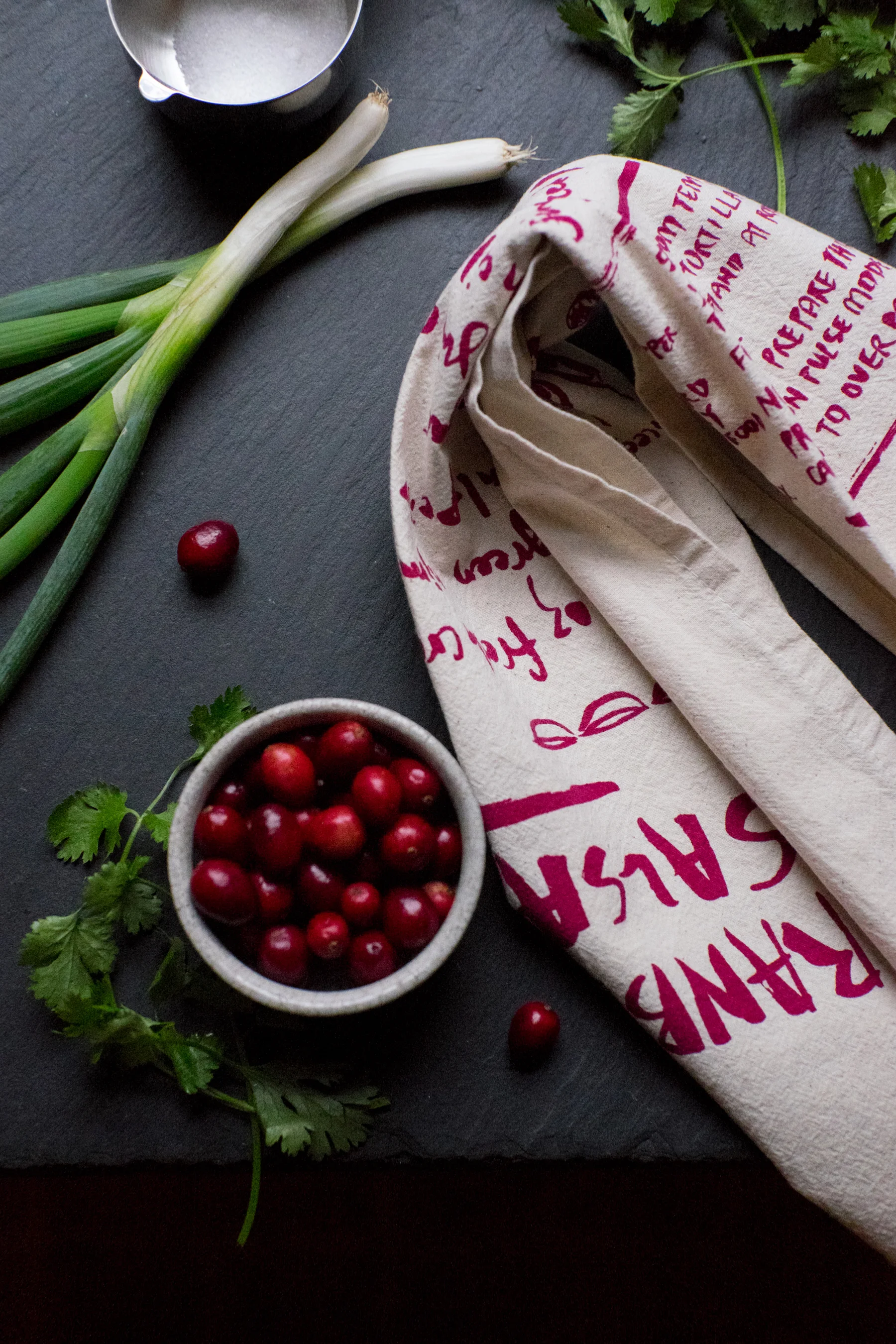 cranberrysalsa_lifestyle_web.jpeg