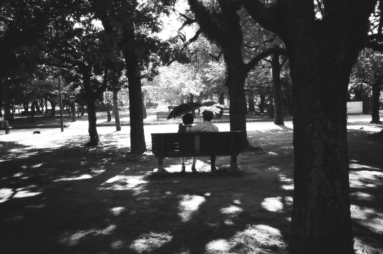  A couple sits on a bench amongst the shade from the trees. 