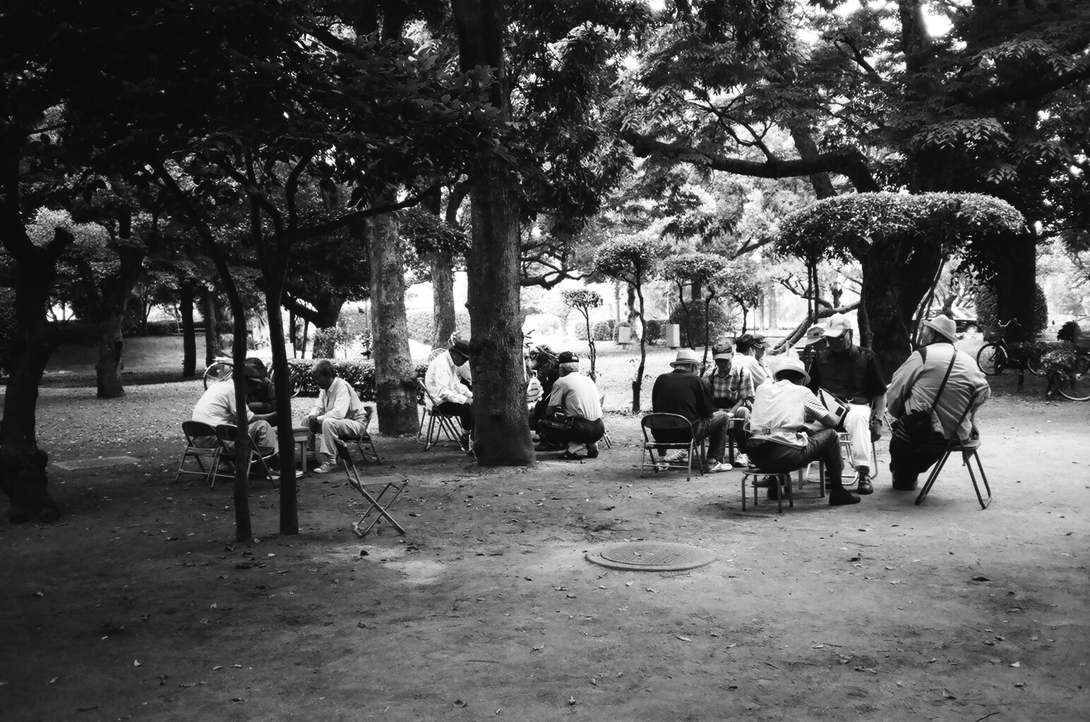  Elderly locals play chess in the park. 