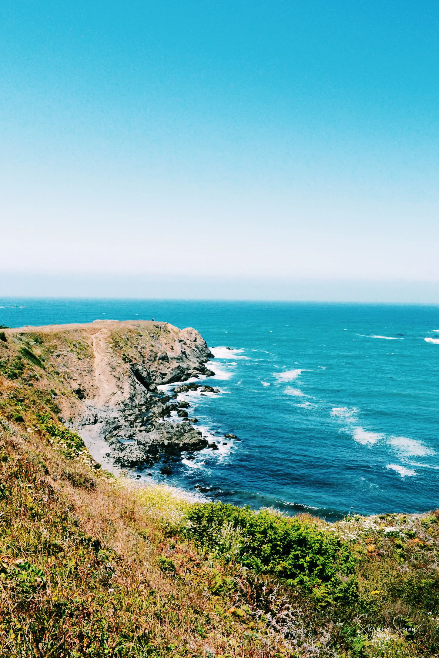 Landscape-3.jpg