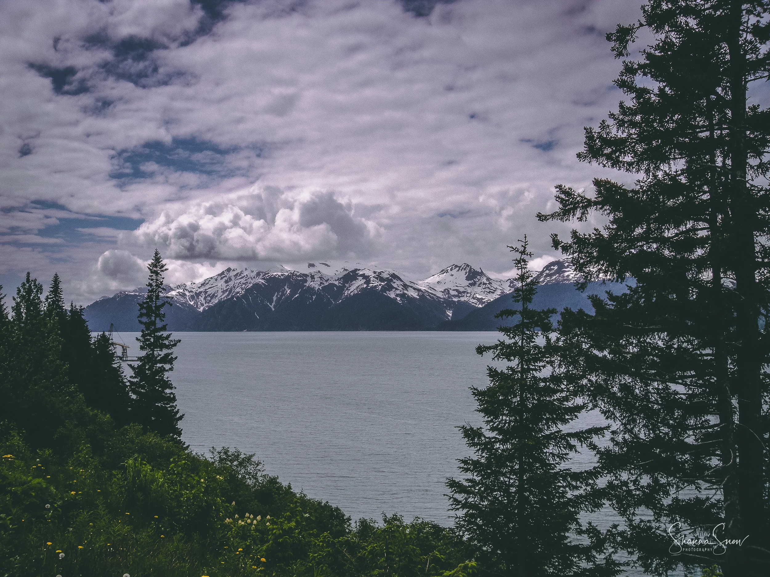Landscape-16.jpg