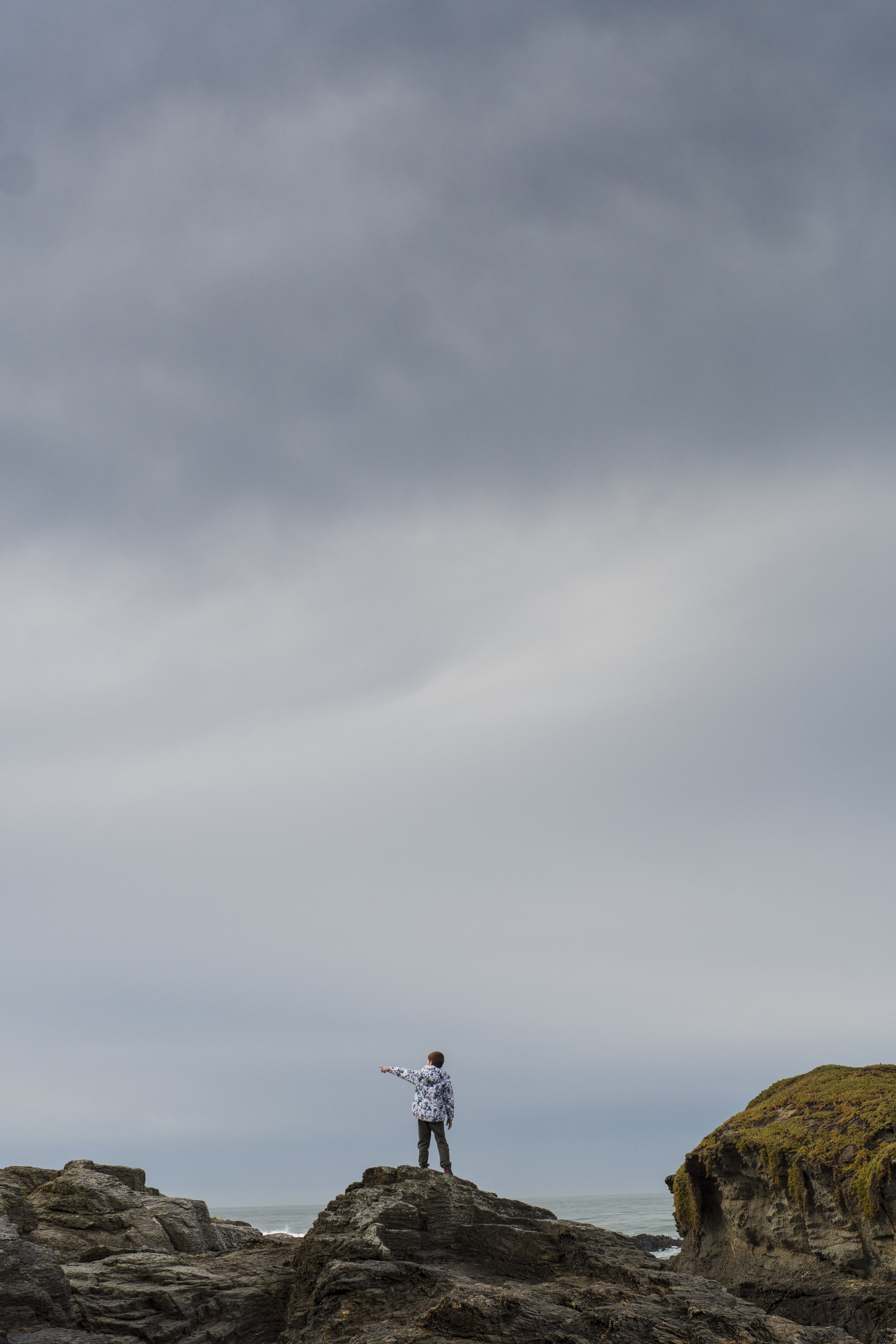 DSC_0517.jpg