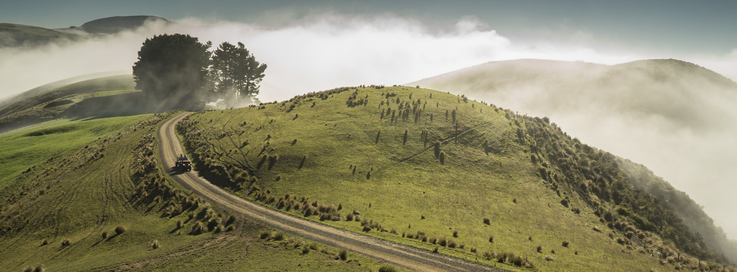 Blucher_Rd_Mist_Quad.jpg