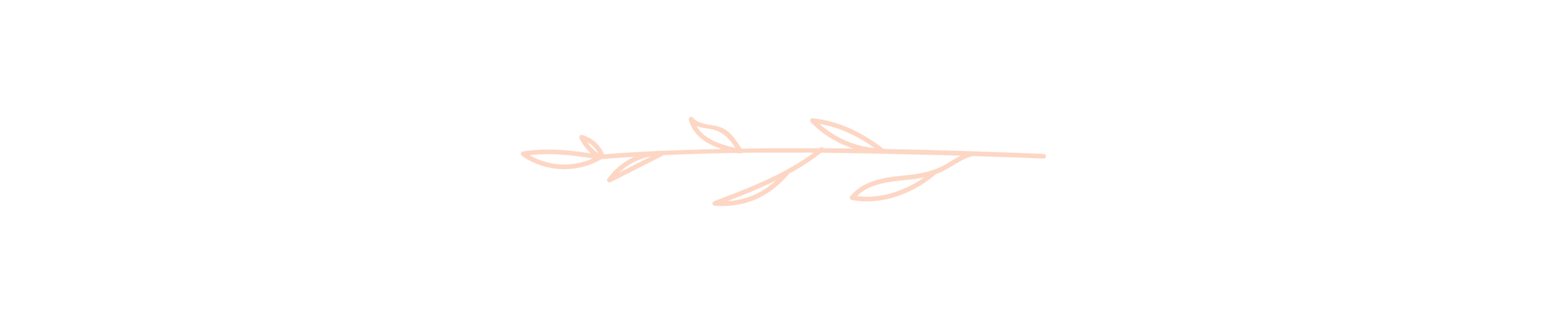 WebDivider-03.png