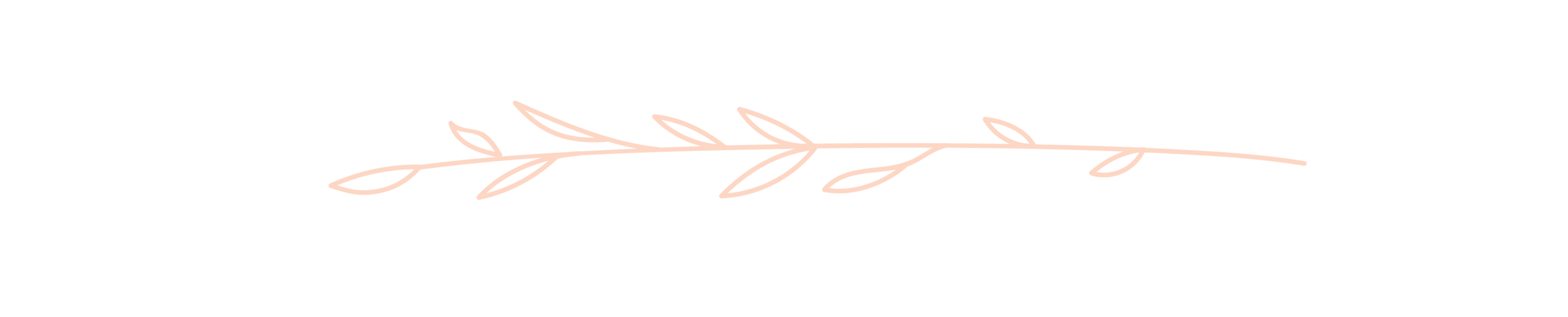 WebDivider-01.png