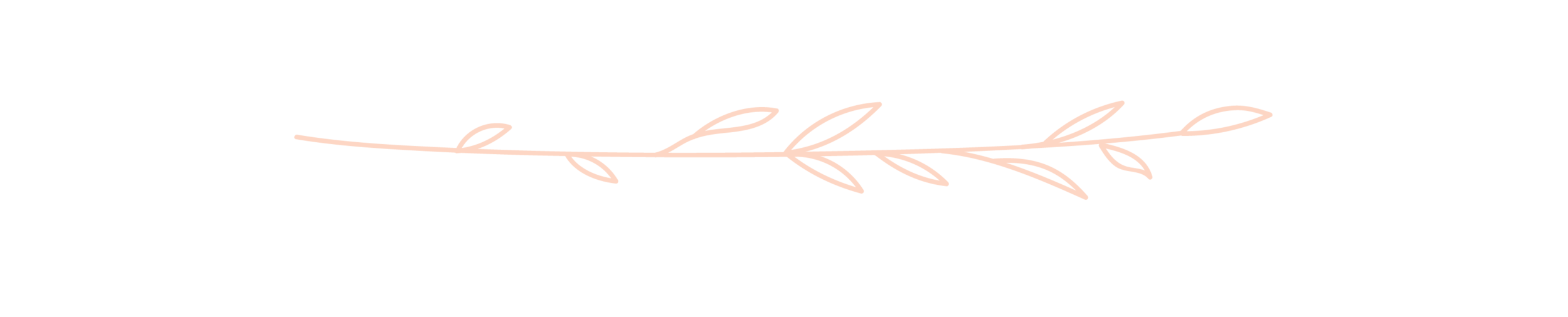 WebDivider-02.png