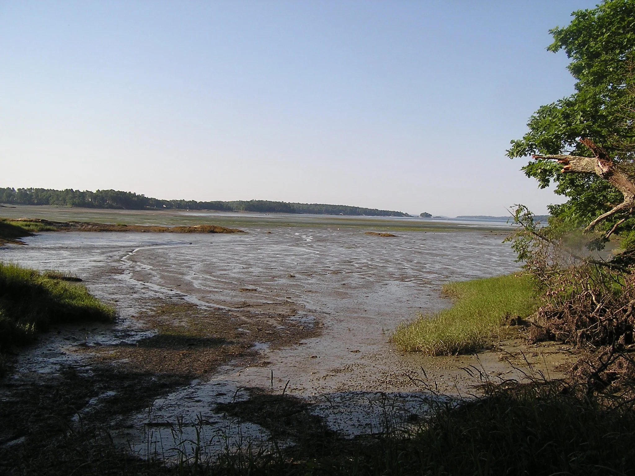P1010162_9.jpeg