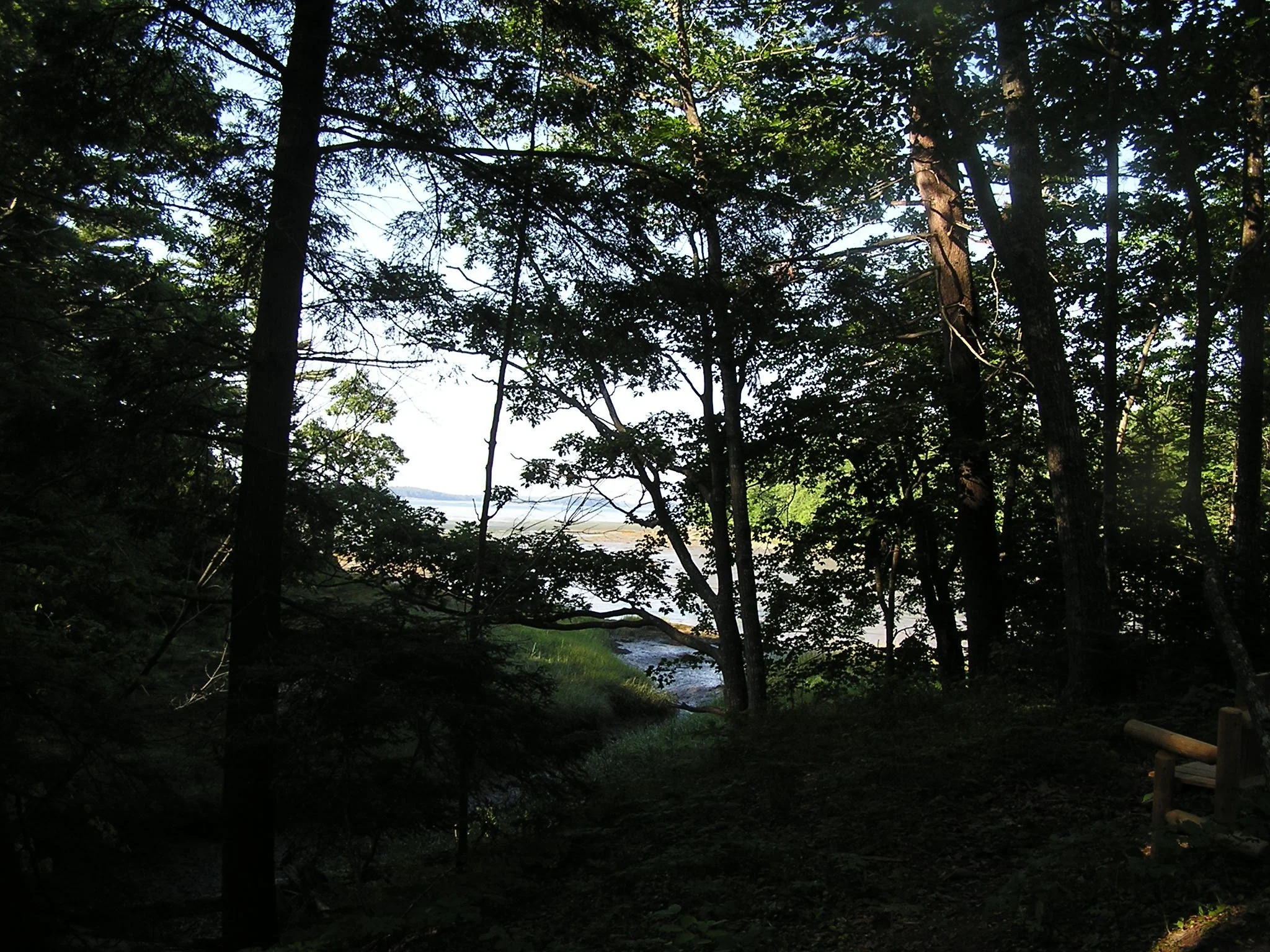 P1010163_9.jpeg