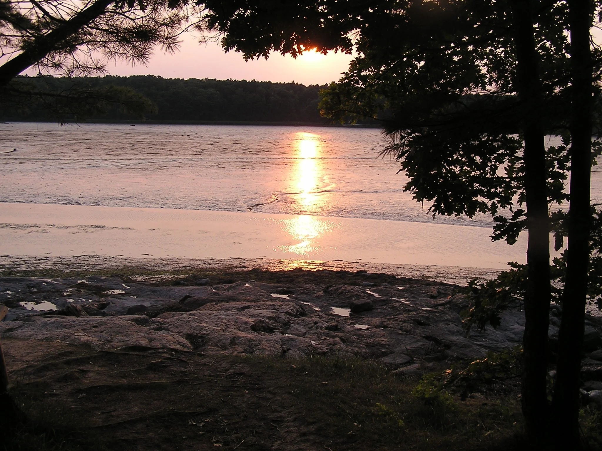 P1010192_6.jpeg