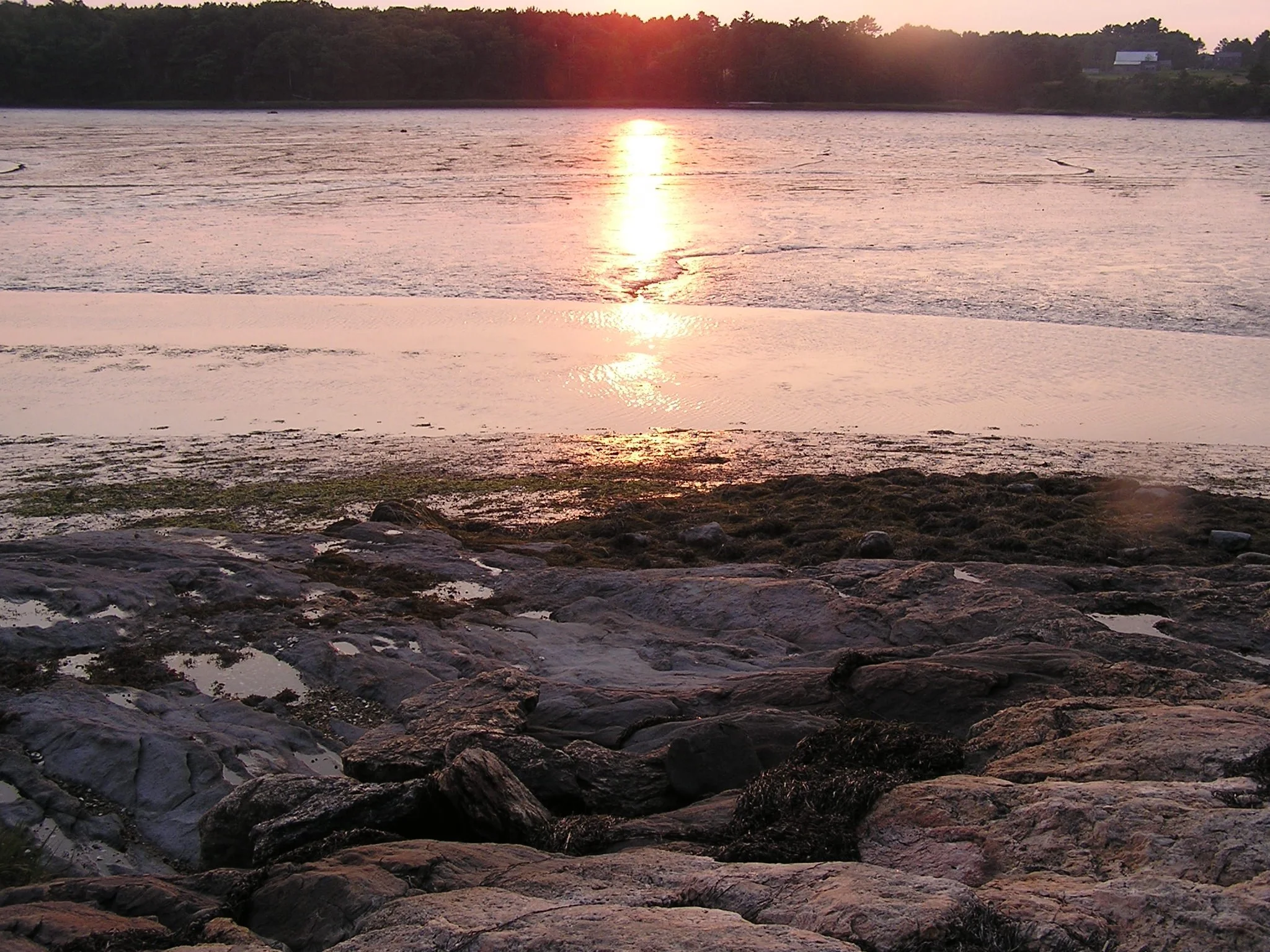 P1010193_5.jpeg