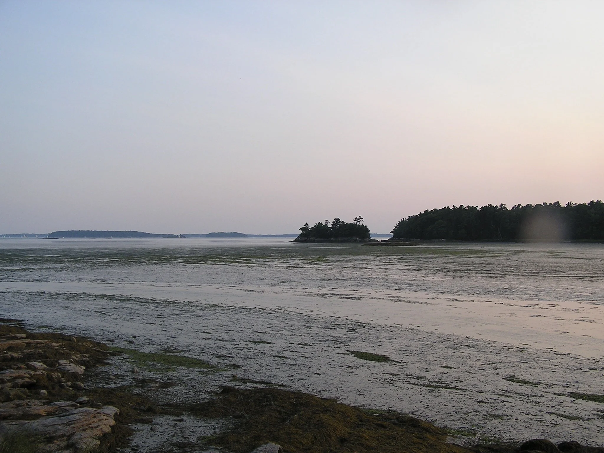 P1010194_5.jpeg