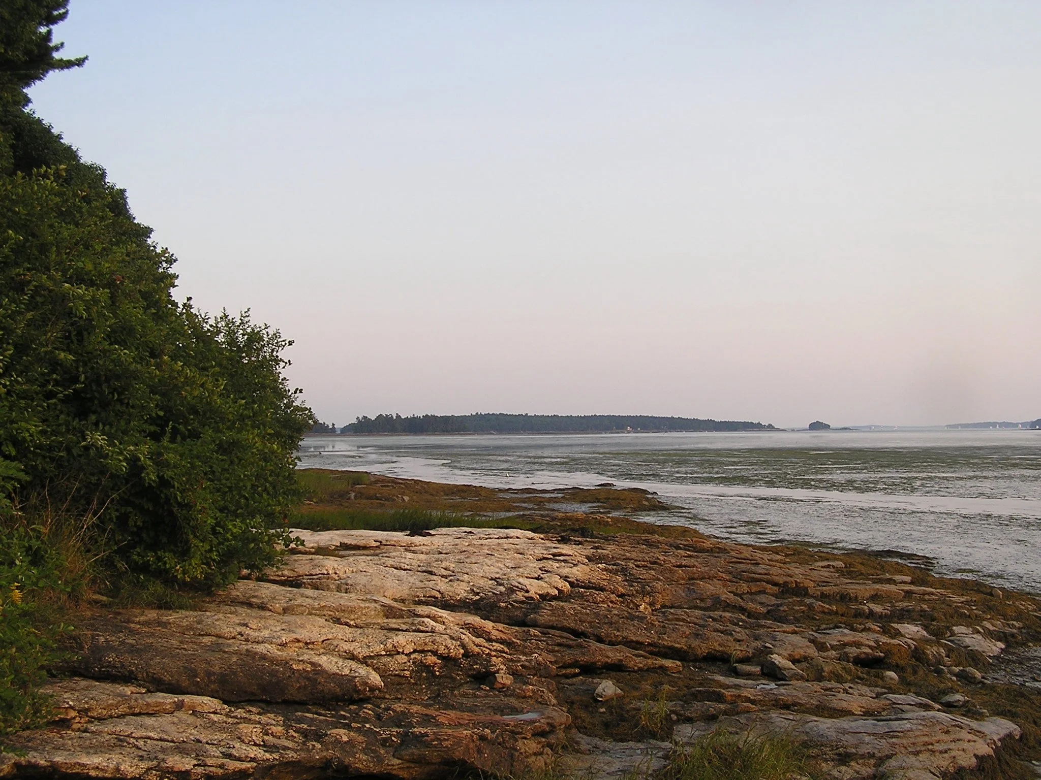 P1010195_5.jpeg