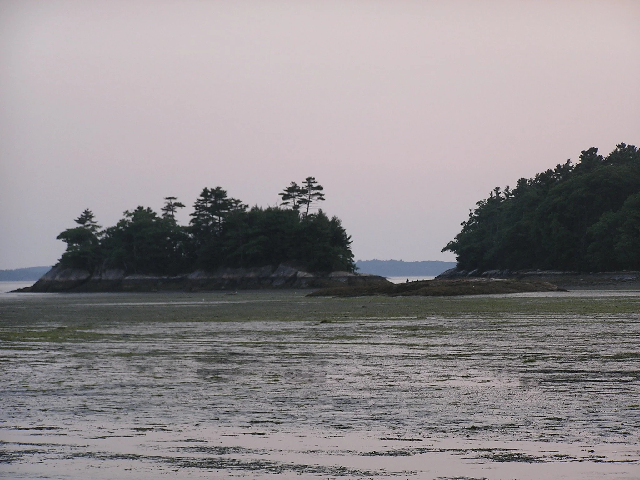 P1010201_3.jpeg