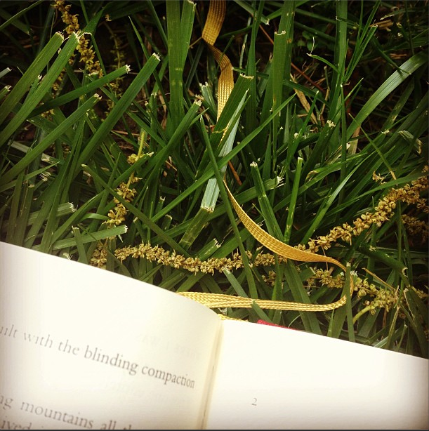 Screen Shot 2014-06-07 at 11.37.44 AM.png