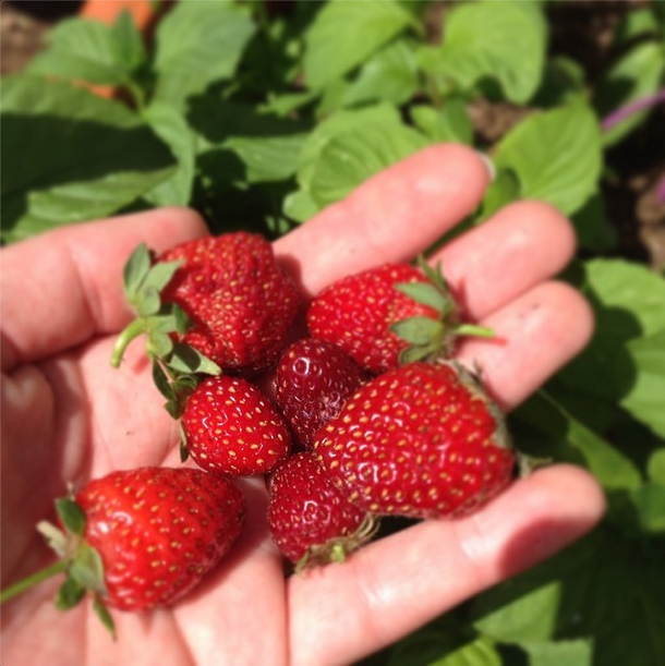 Screen Shot 2014-06-07 at 11.29.55 AM.png