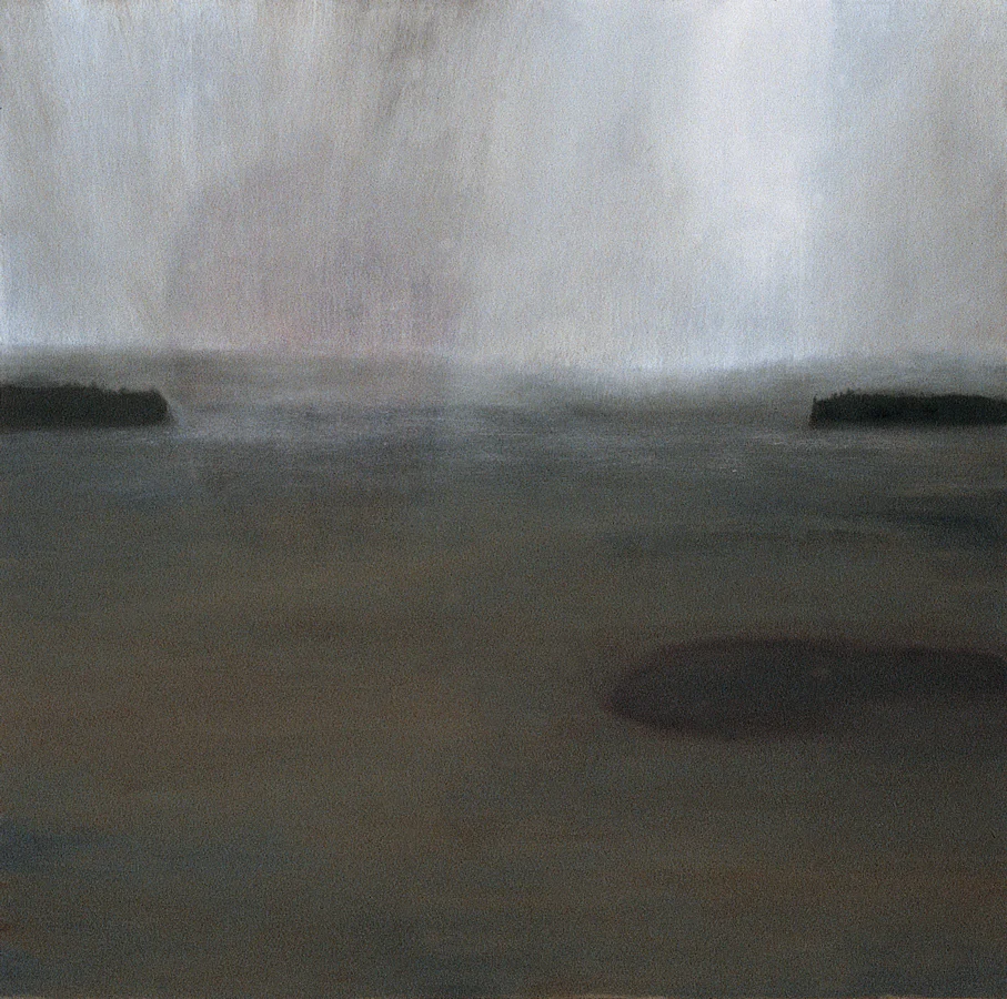 Skimmer