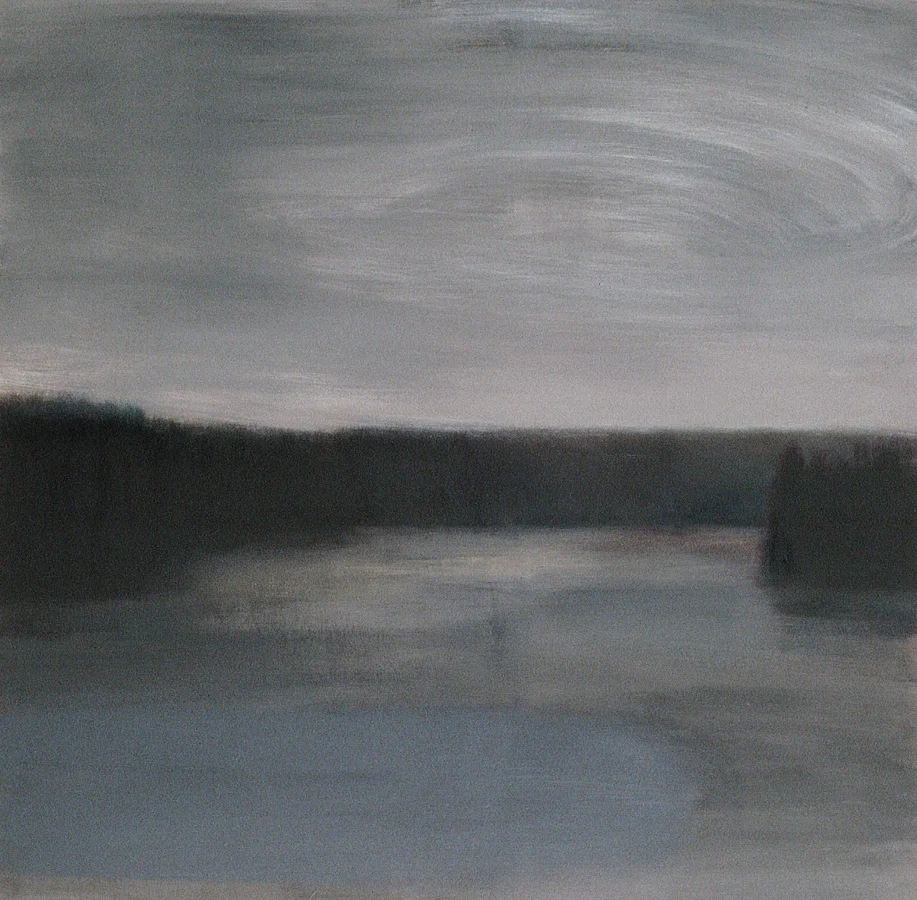 Skimmer