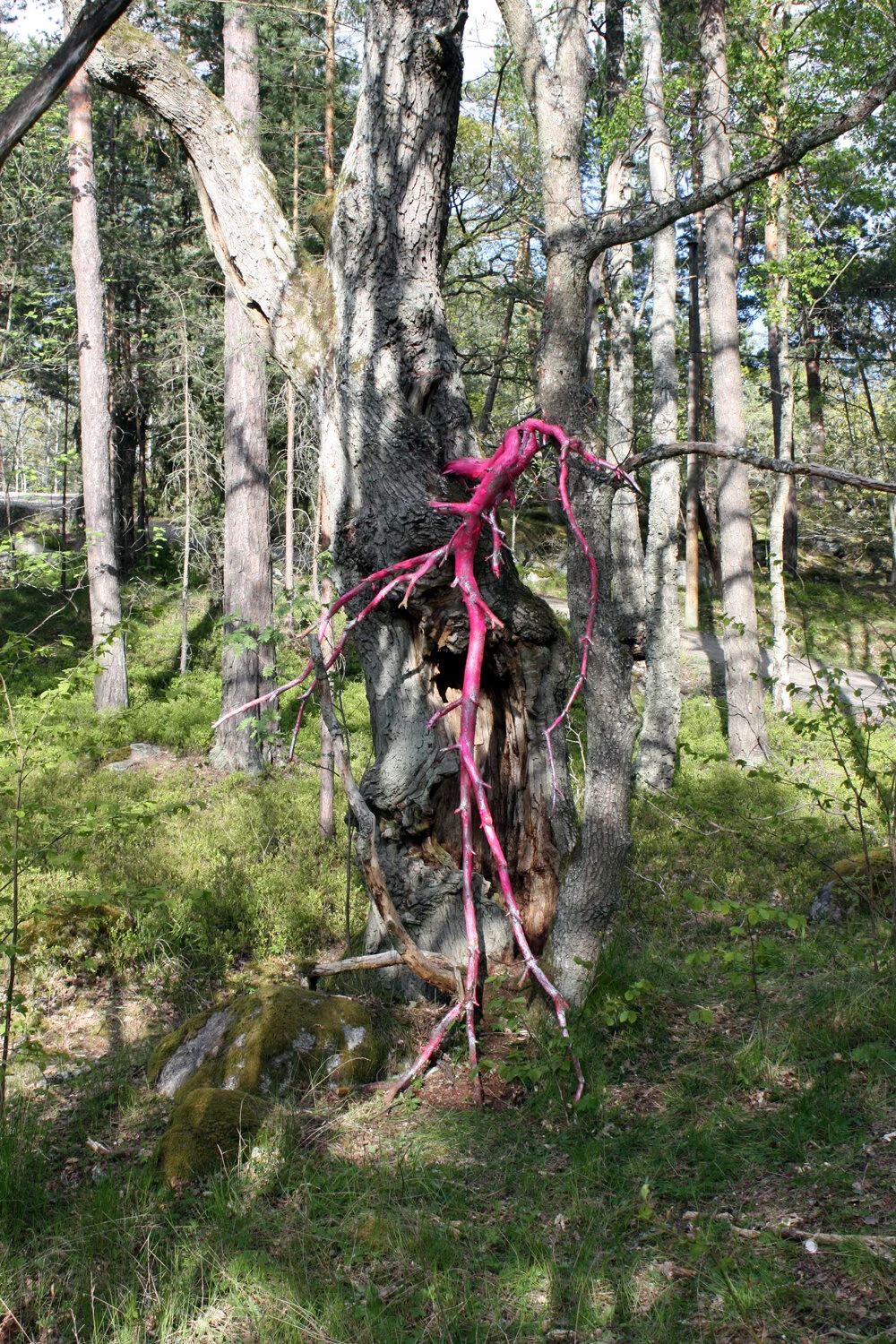 OTHERWORLD | Martin Ålund