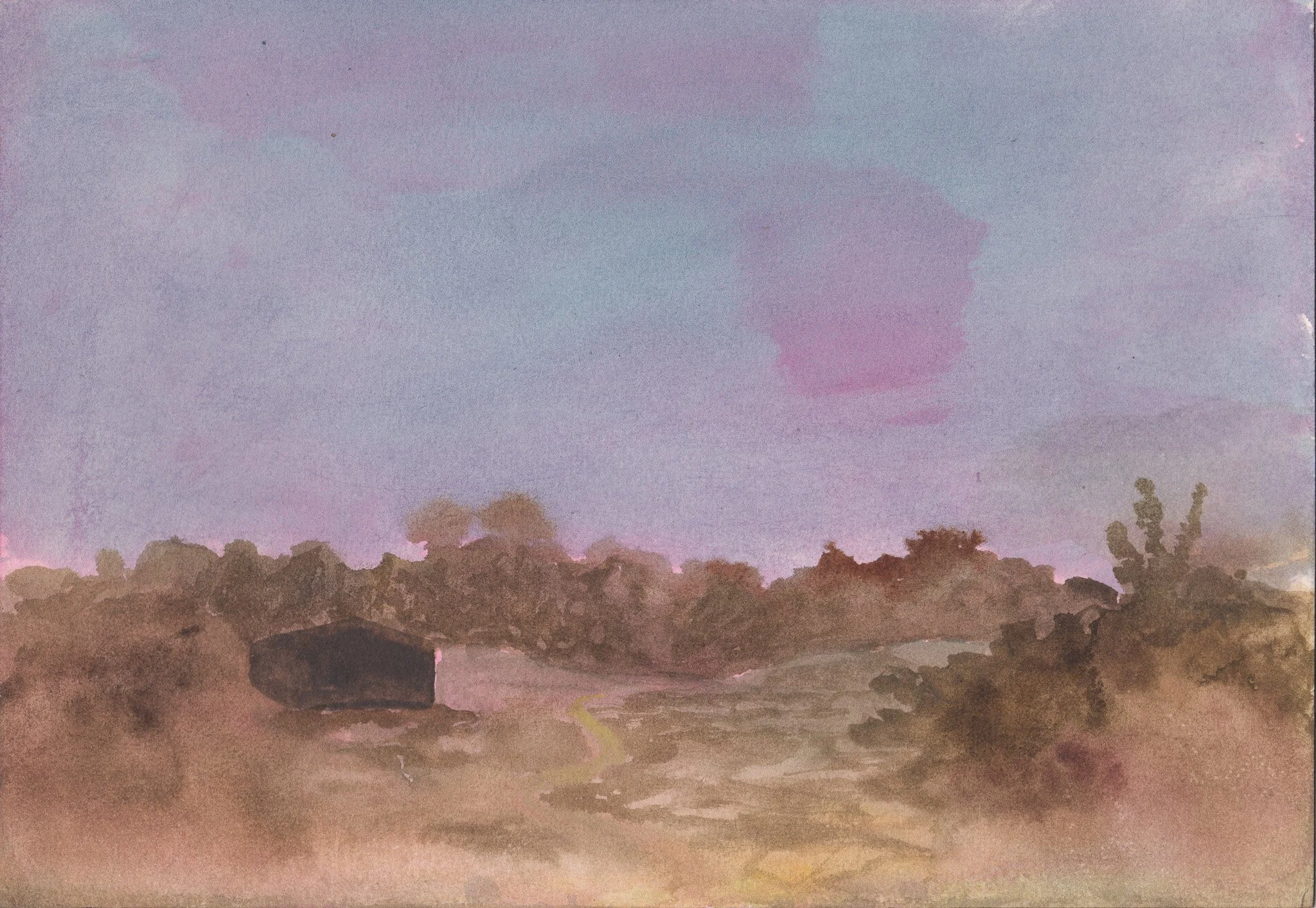 Studies on Transformation