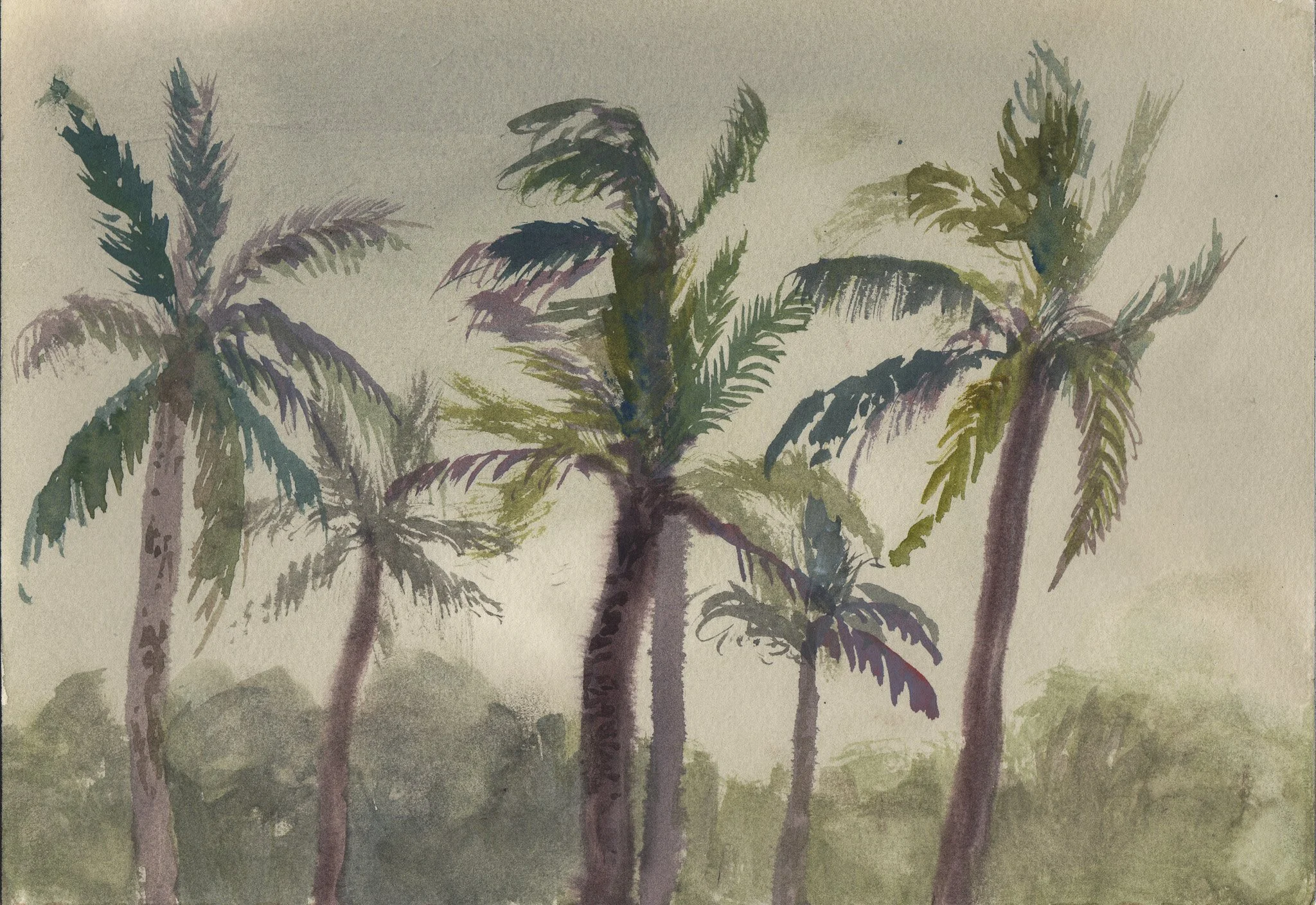 Studies on Transformation