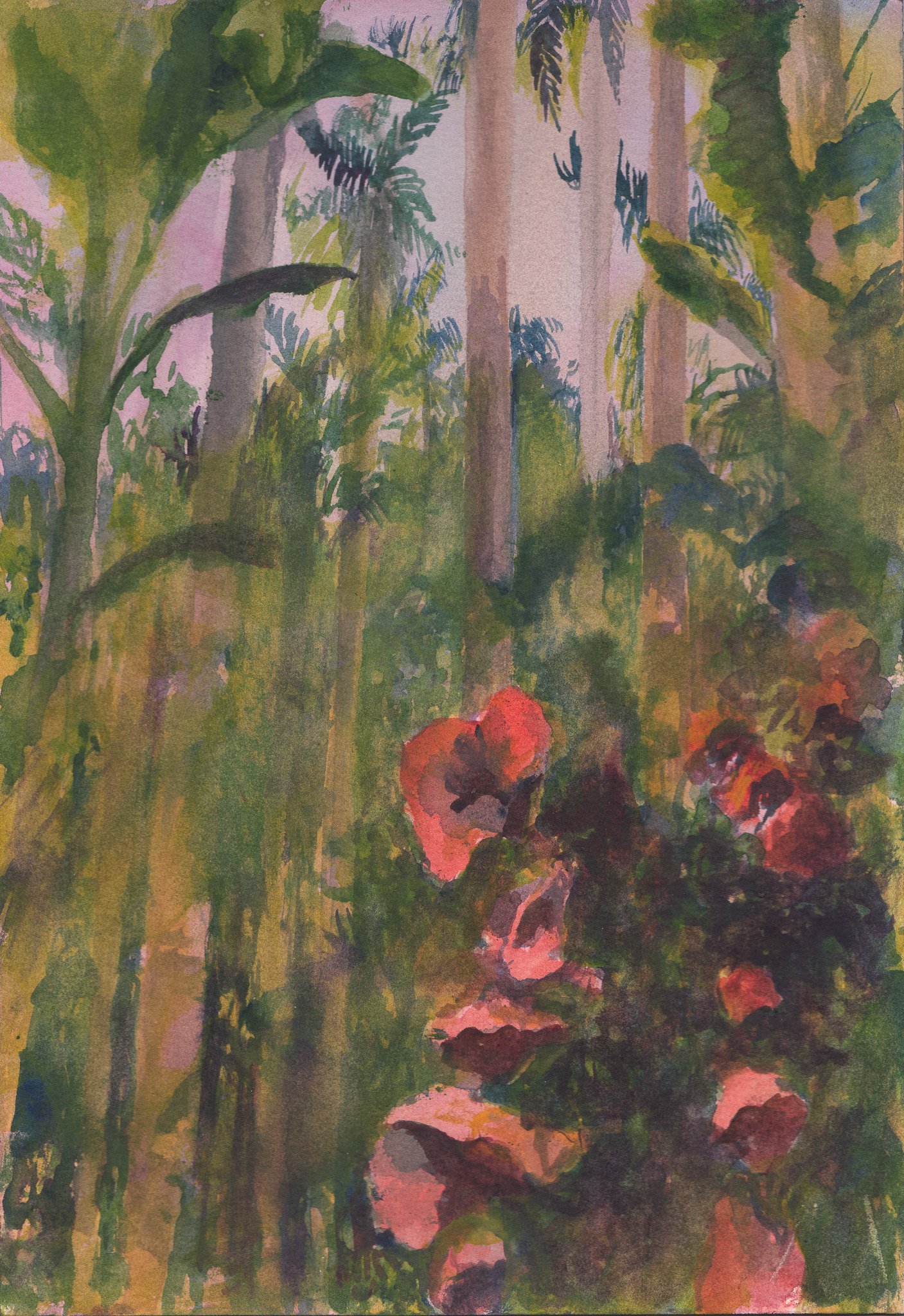 Studies on Transformation