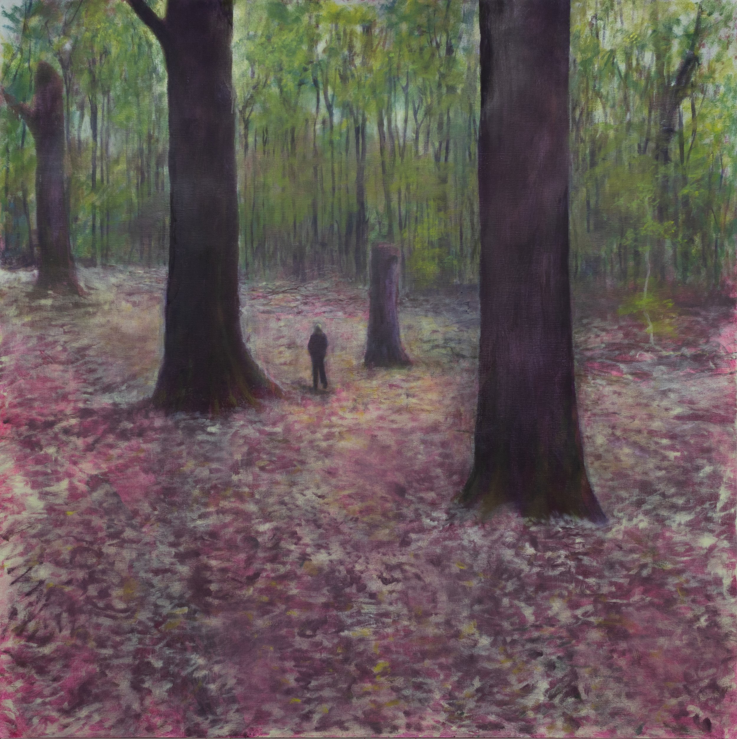 Afterimage / Efterbild X