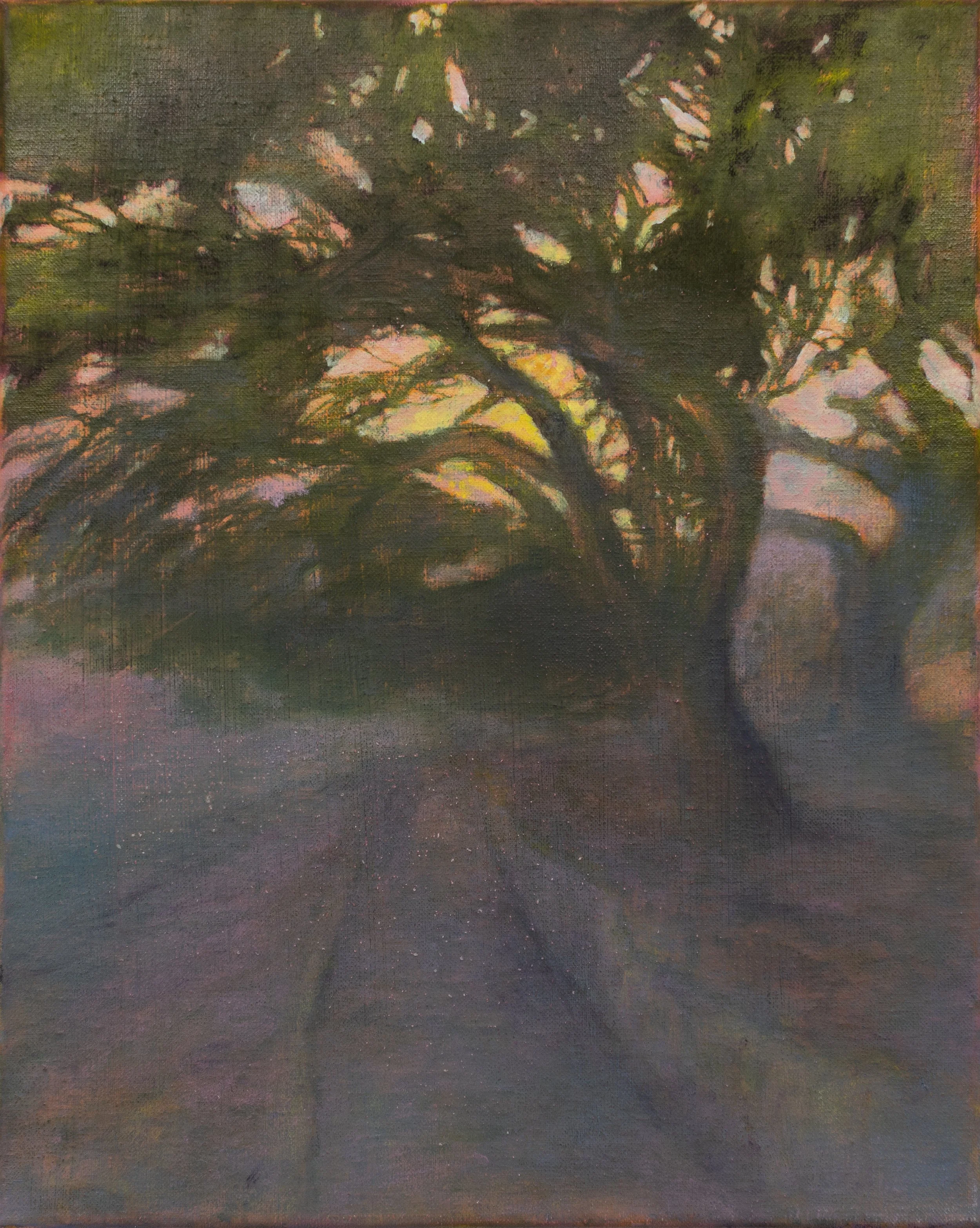 Afterimage / Efterbild XX