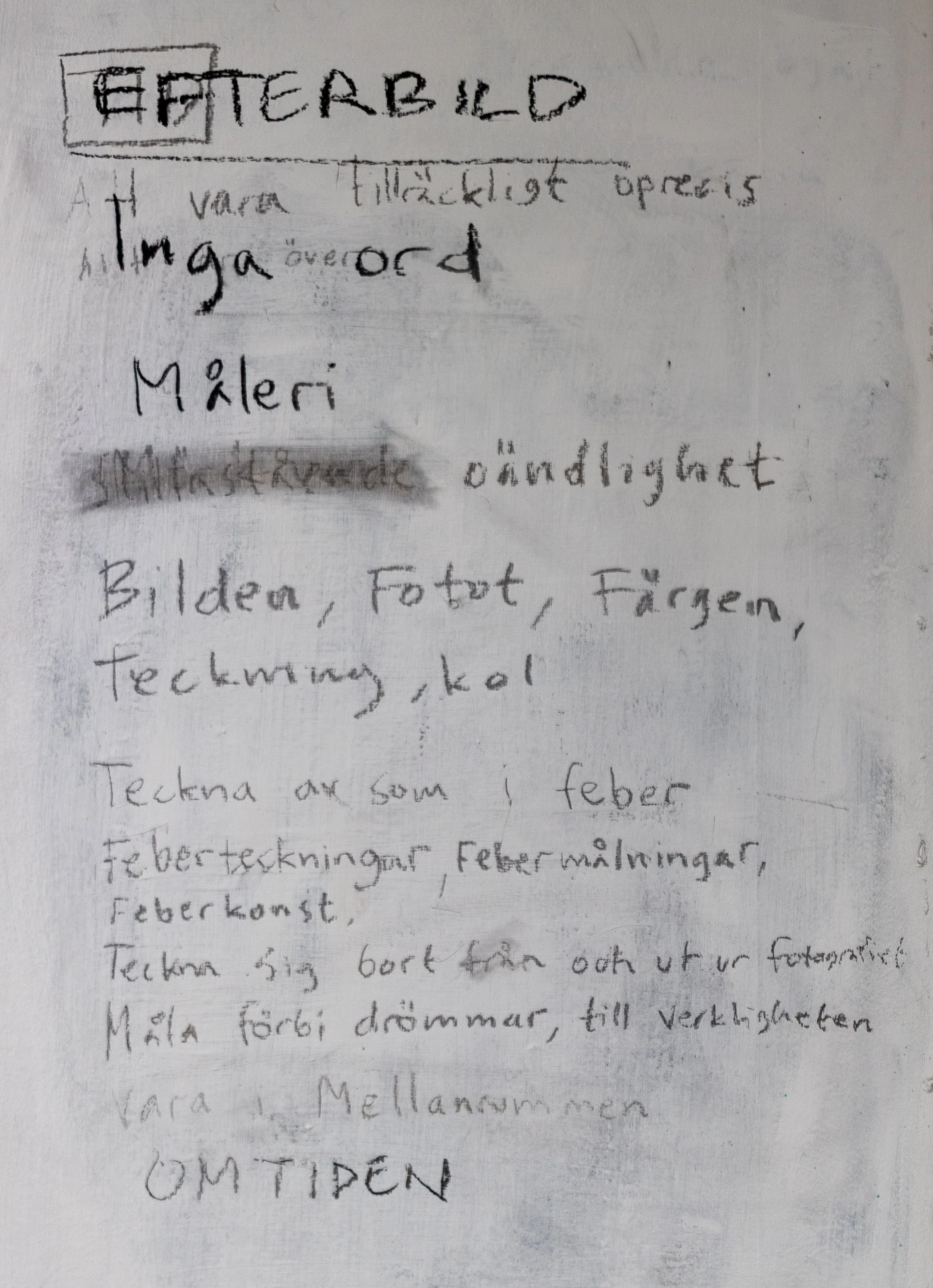 Afterimage / Efterbild