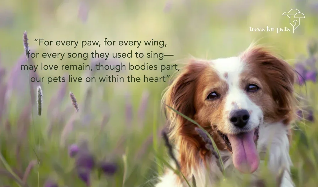 pet-loss-poems_4fe1d405-ec99-44b6-bd5e-ba520042f993.webp
