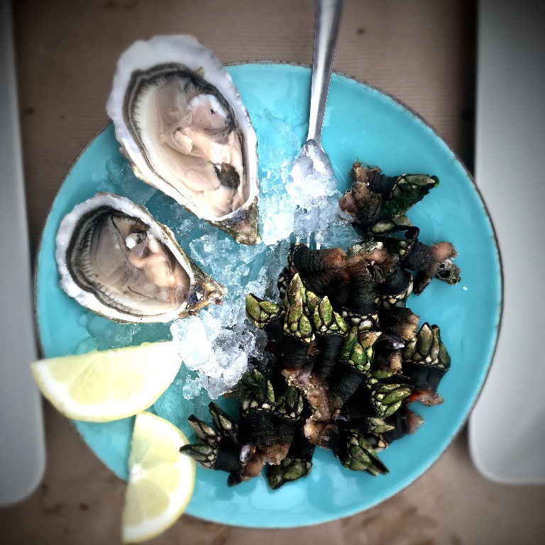 percebes+oysters.JPG
