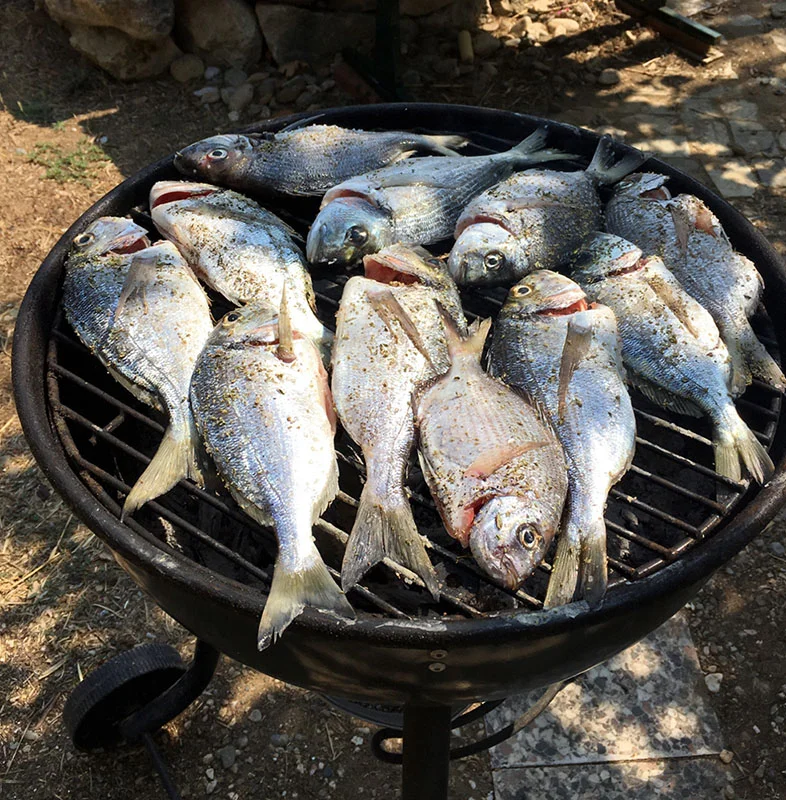 bbq fish.JPG