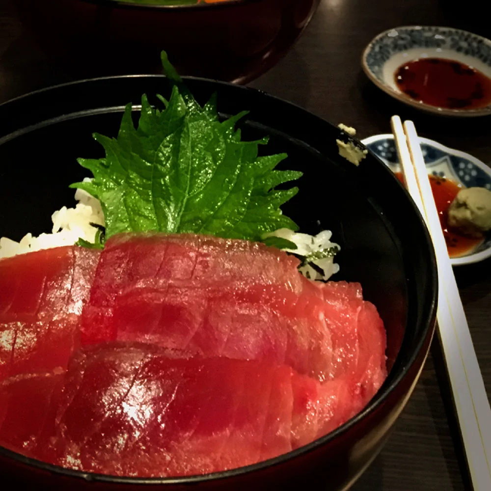 chirashi sushi.JPG