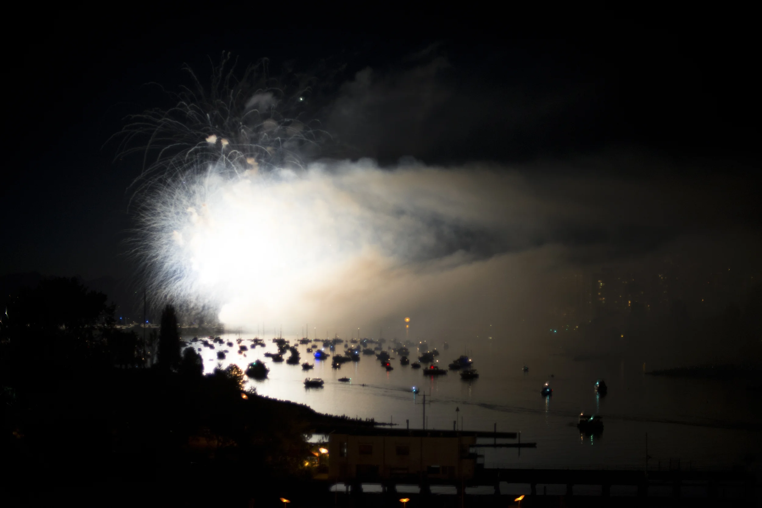DSC_2008.jpg