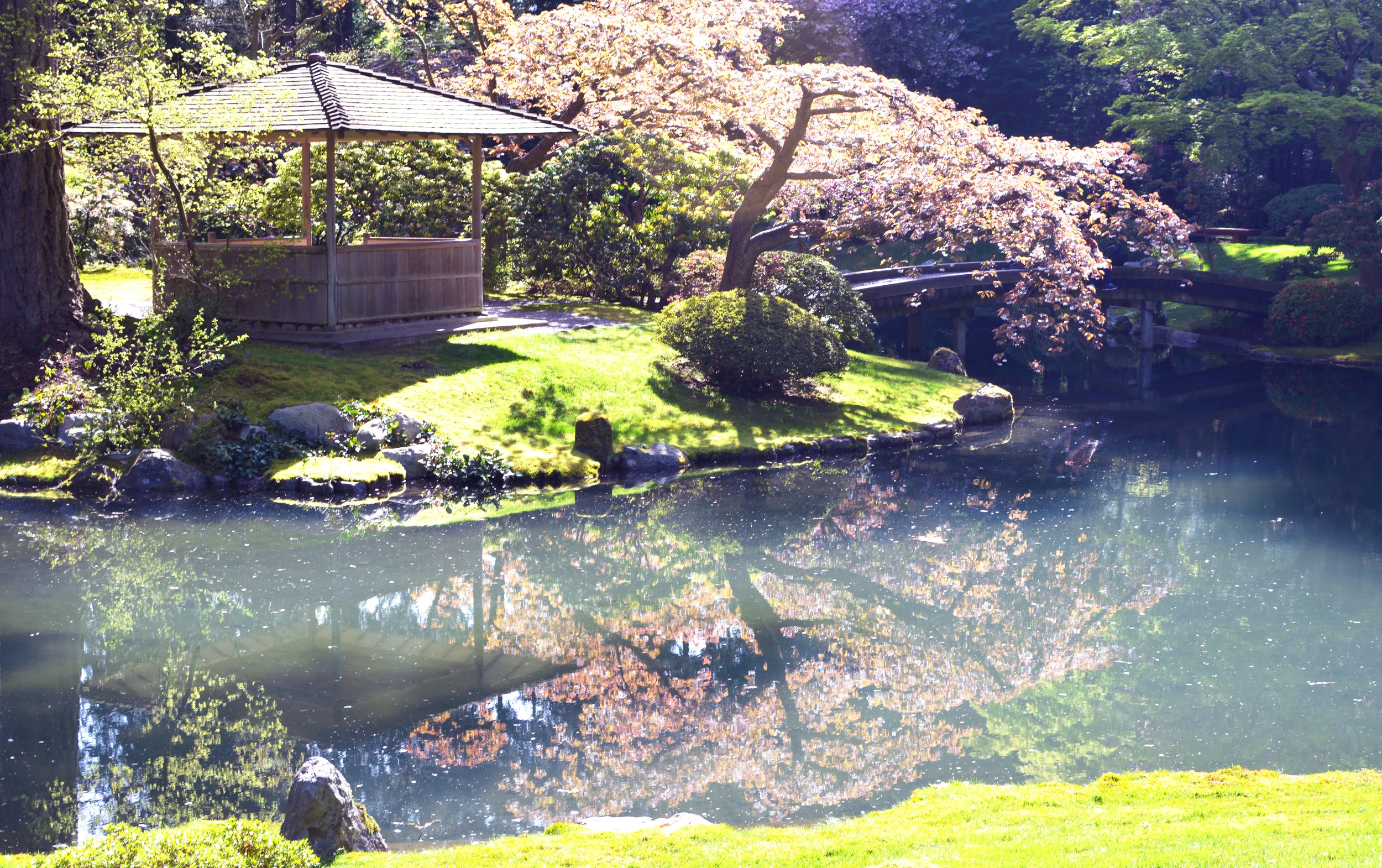 Nitobe-1.jpg