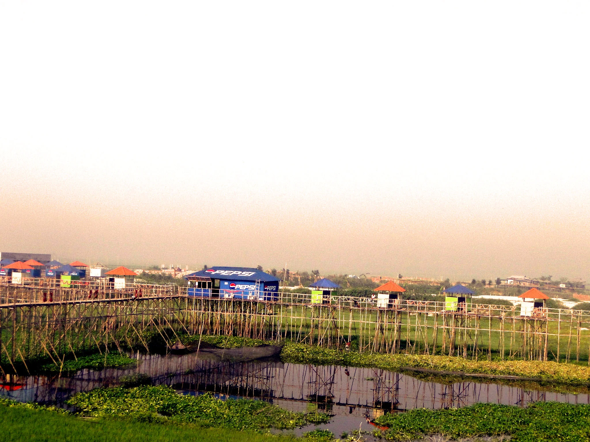 DSC02416.JPG