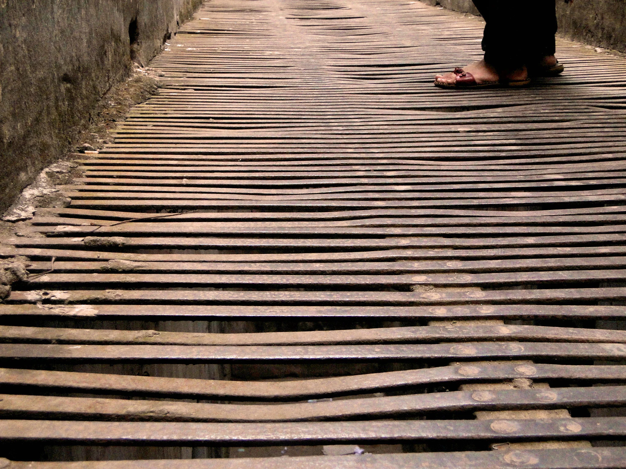DSC02487.JPG