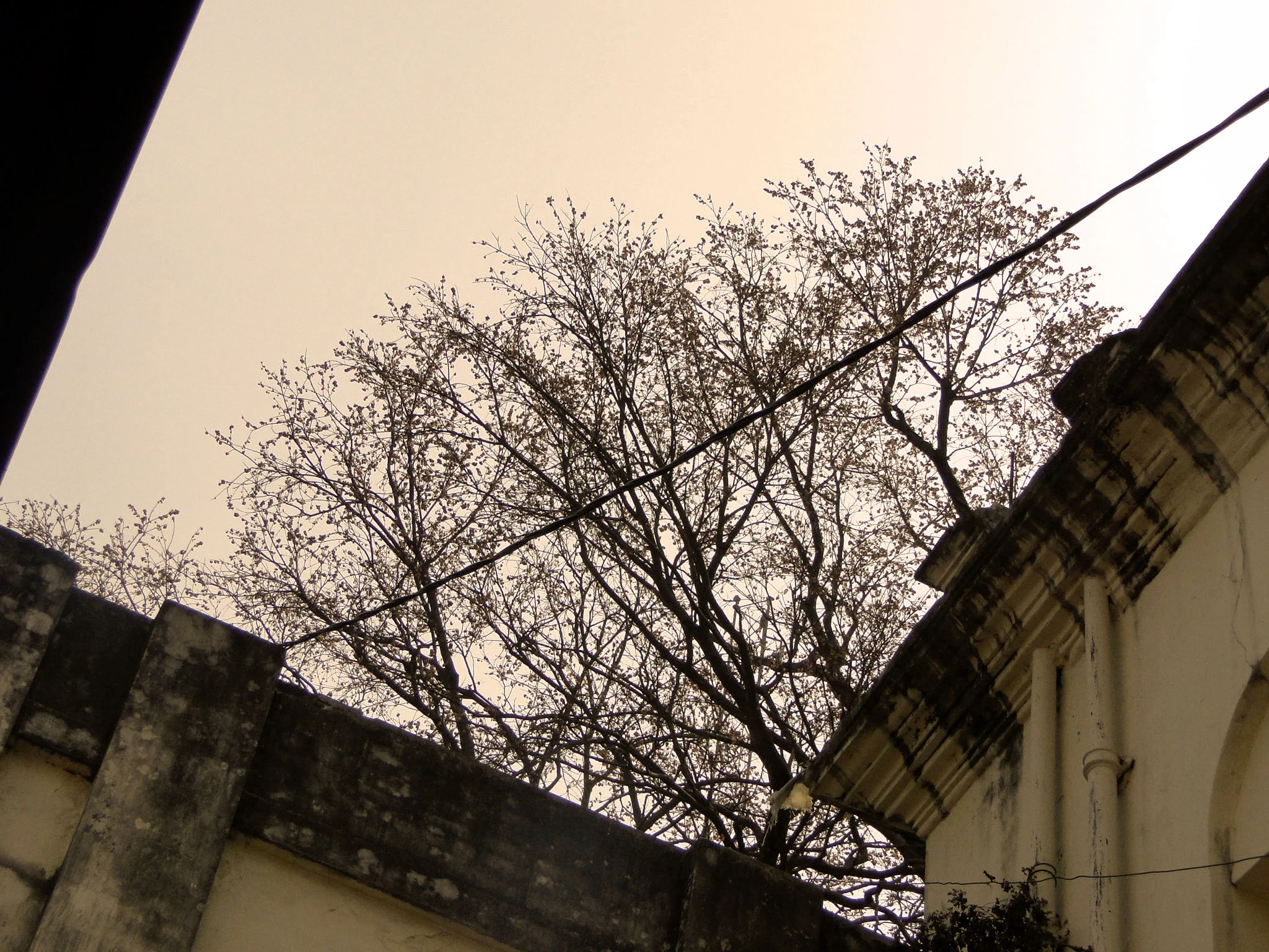 DSC02517.JPG