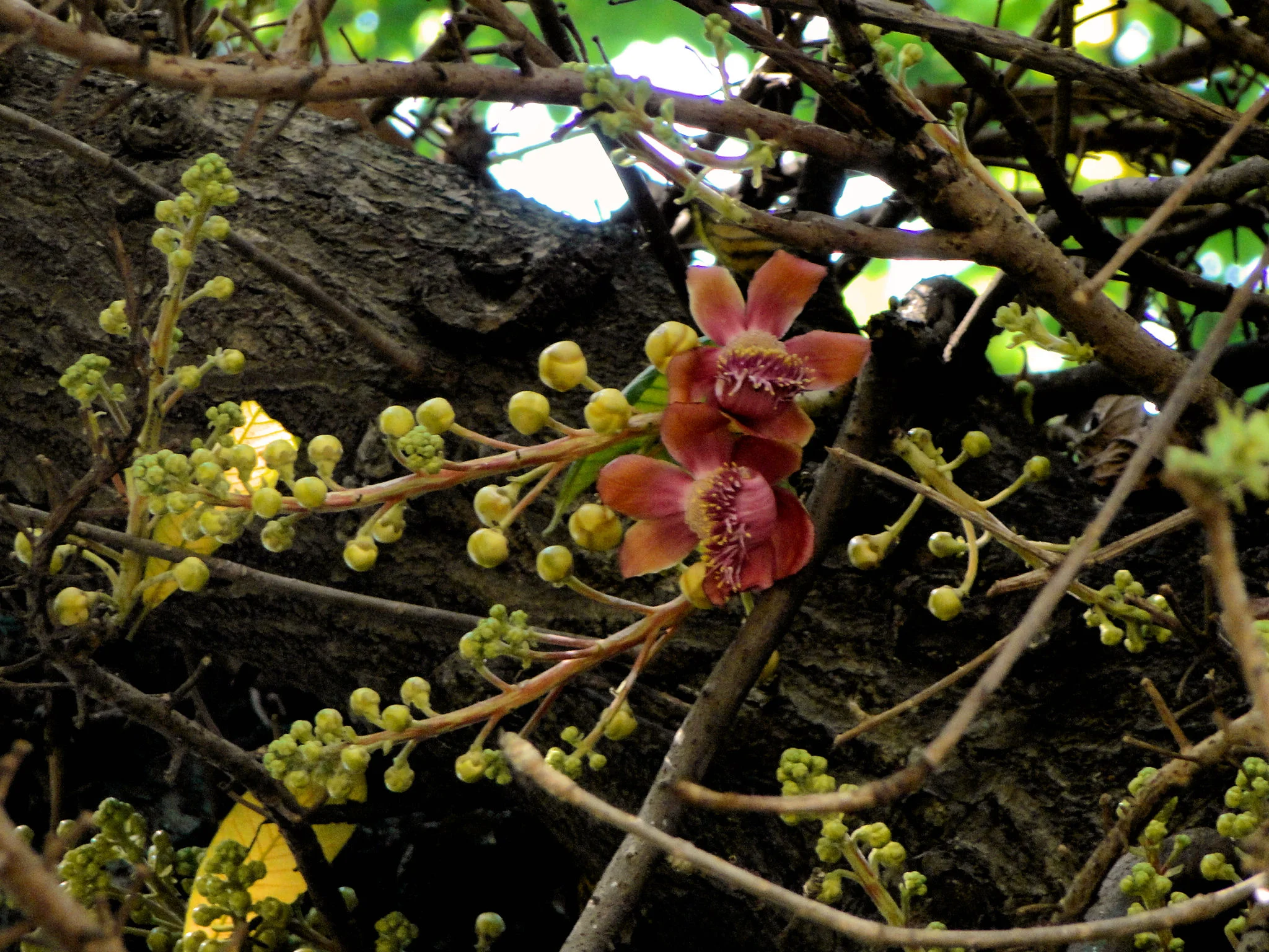 DSC02571.JPG