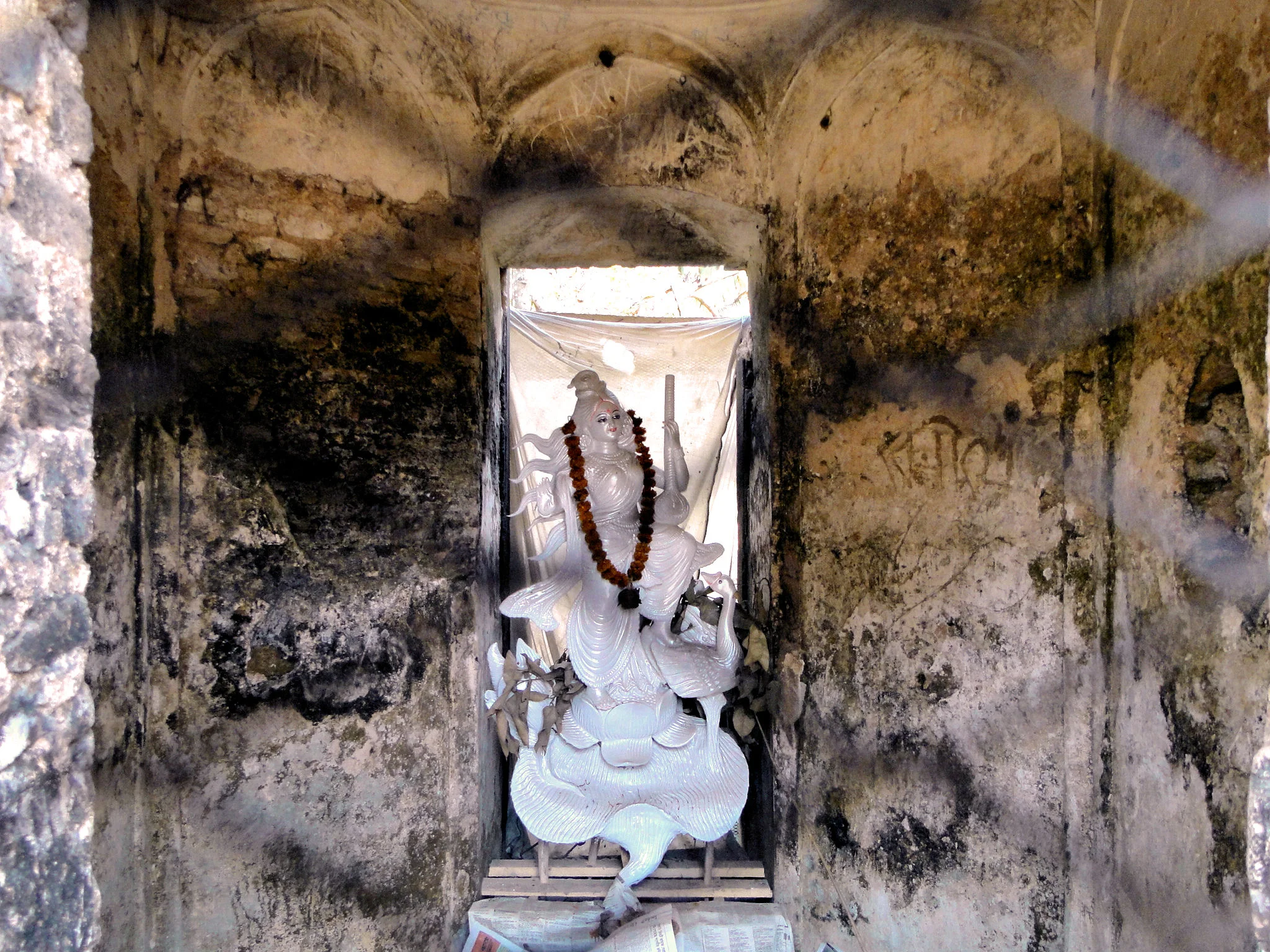 DSC02605.JPG