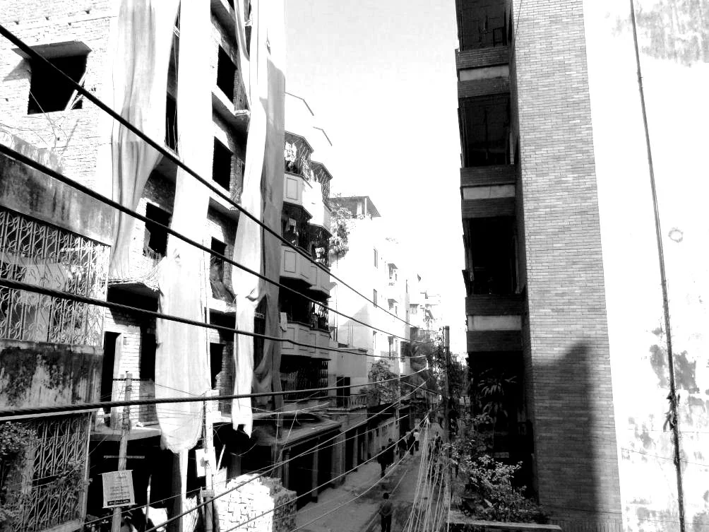 DSC01106.JPG
