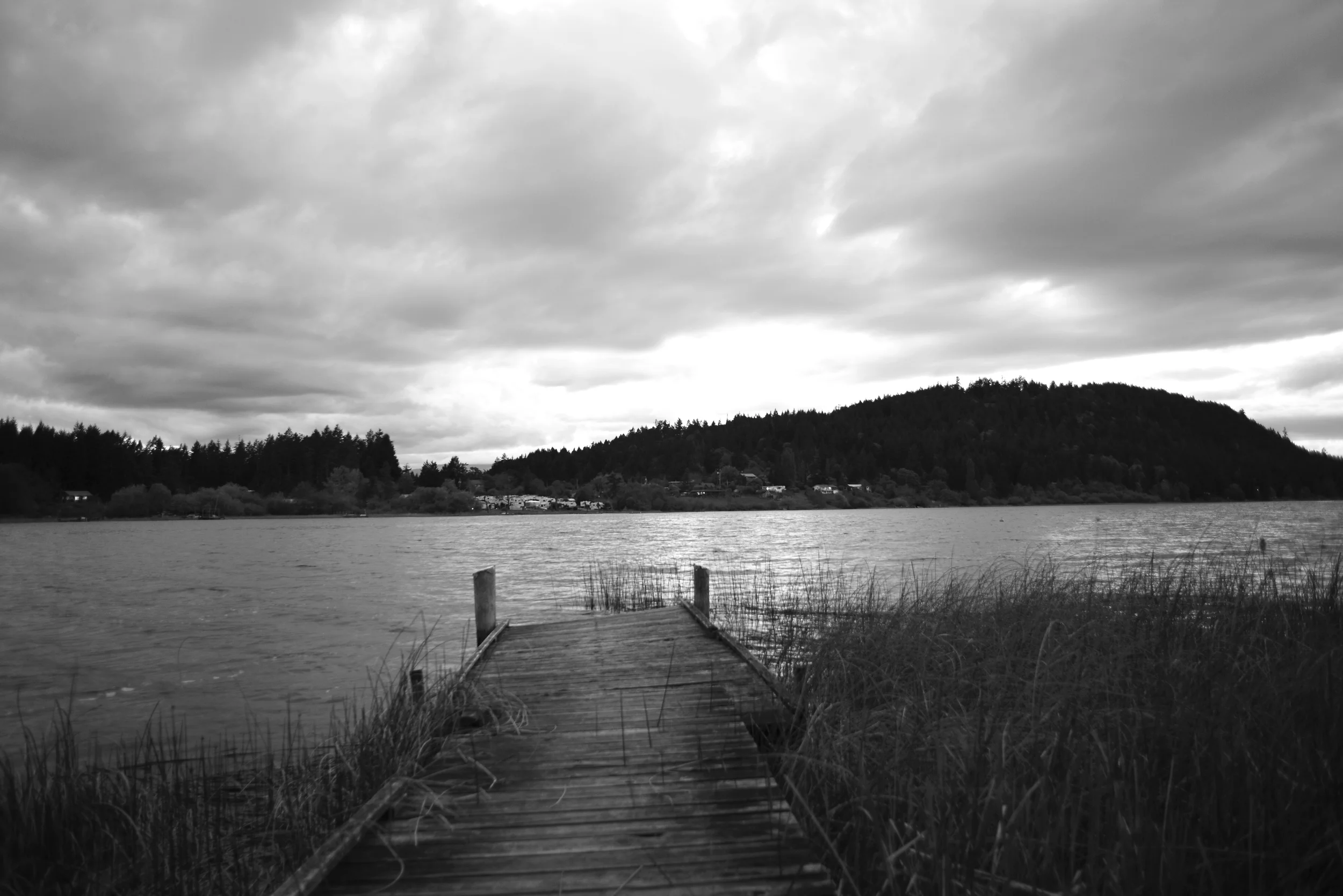 _DSC0874.JPG