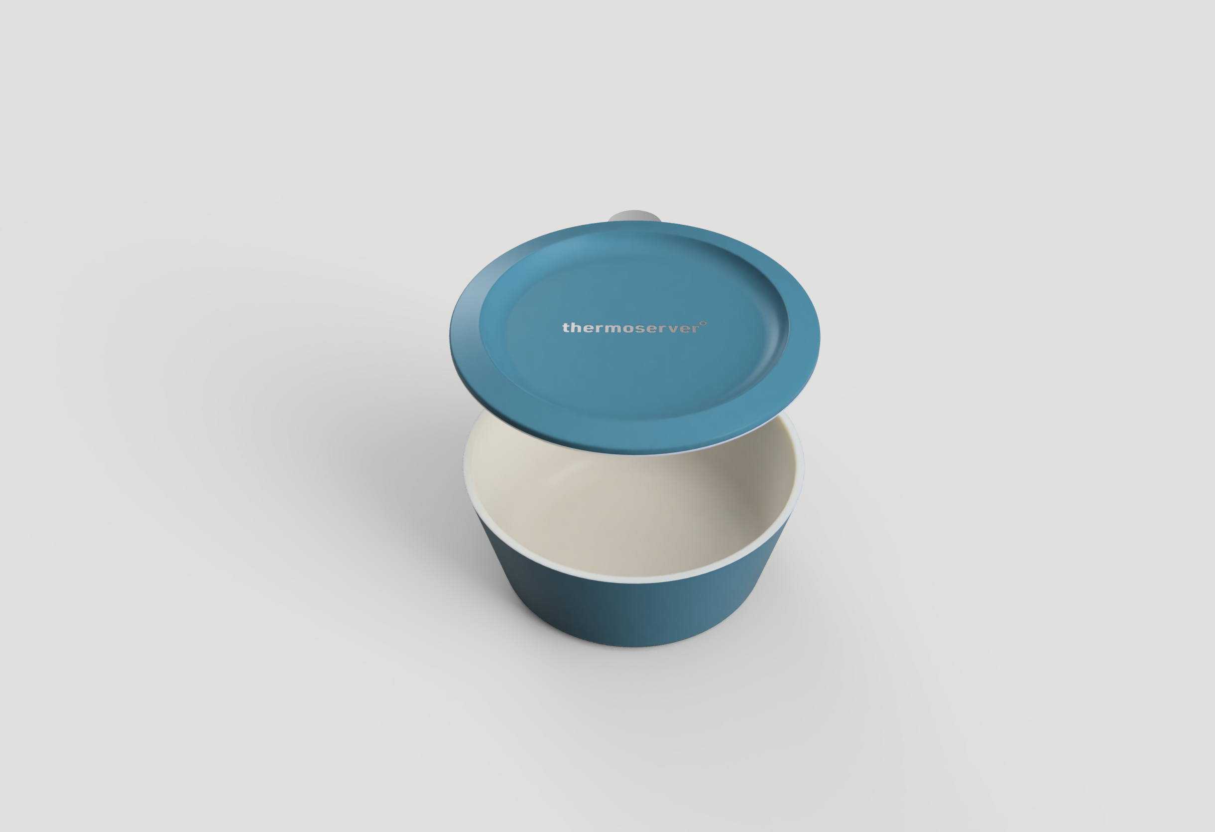 thermoserver_20240726_2024-Aug-20_01-23-33AM-000_CustomizedView28815628141.png