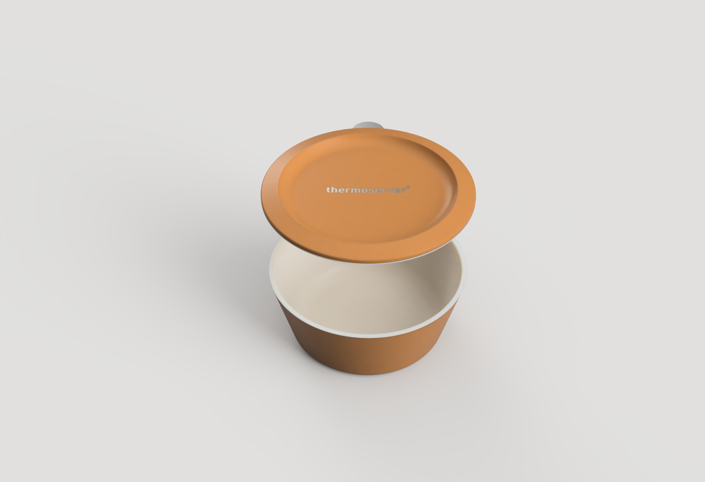 thermoserver_20240726_2024-Aug-20_01-28-13AM-000_CustomizedView28815628141.png