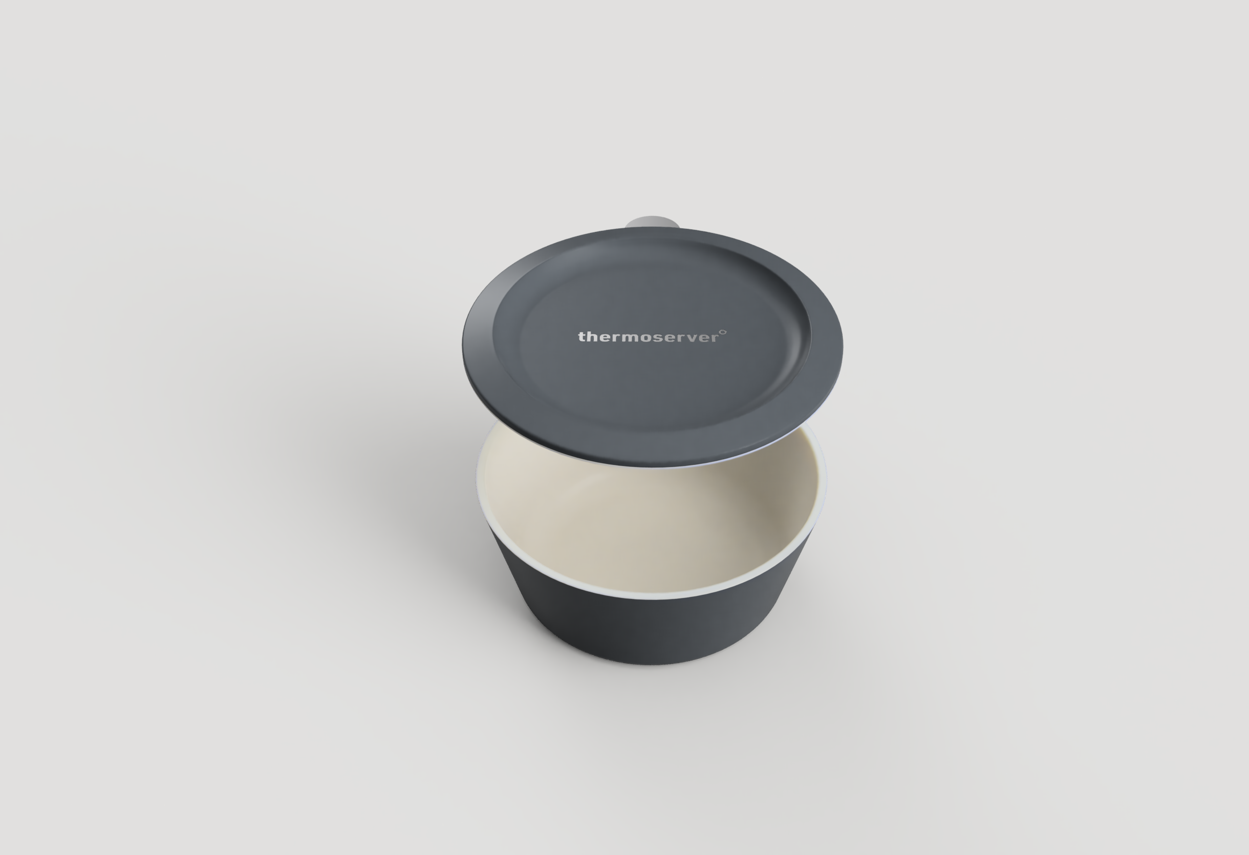 thermoserver_20240726_2024-Aug-20_01-38-34AM-000_CustomizedView28815628141.png