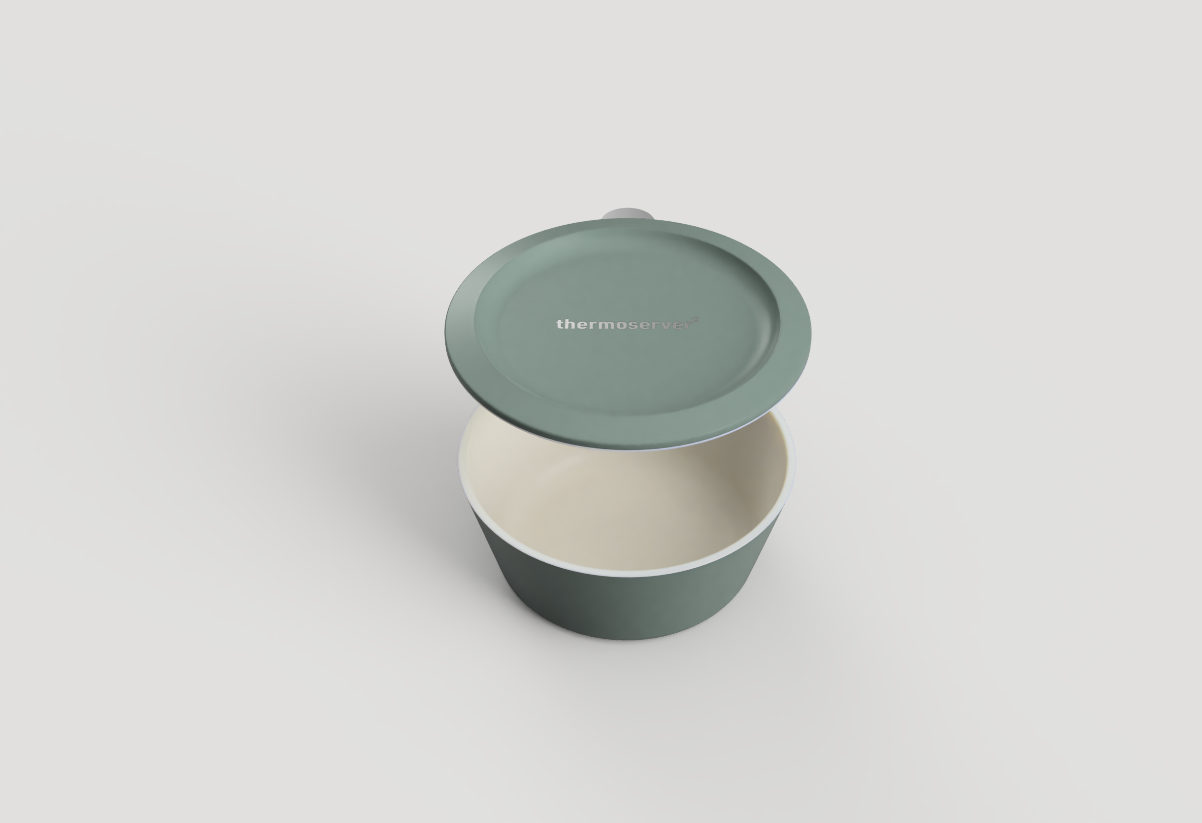 thermoserver_20240726_2024-Aug-20_01-20-17AM-000_CustomizedView28815628141.png