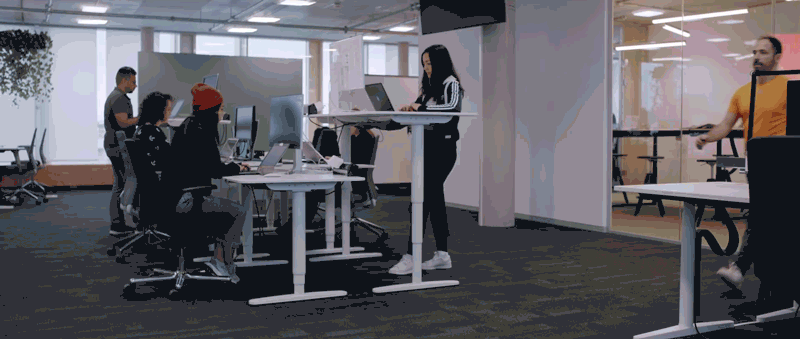 adidas-2.gif