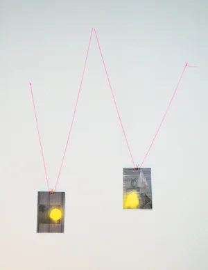 W-VV "The Falling Yellow " (Horizontal Thoughts/Looking at Home Vertically)-2012