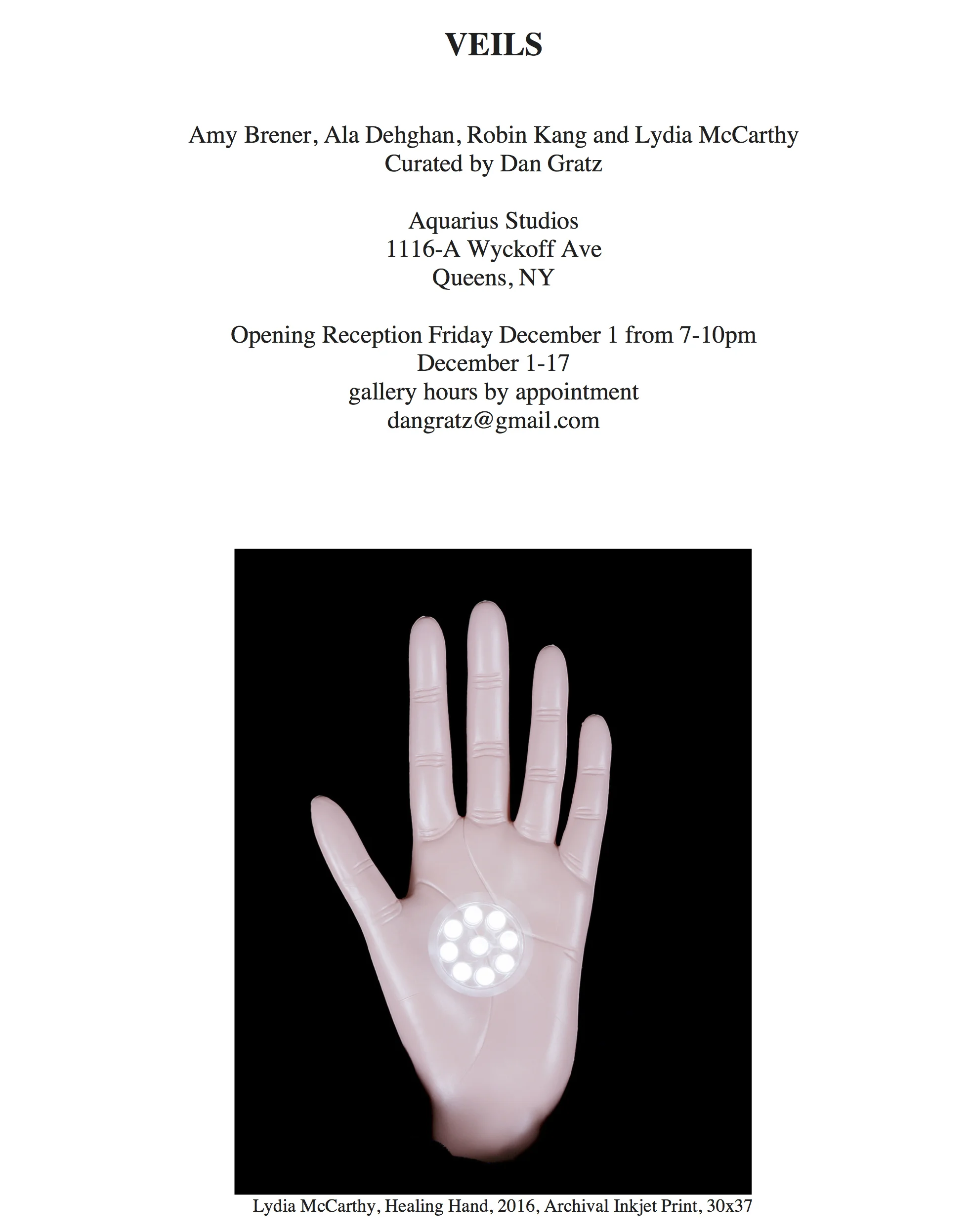 Veils Press Release.jpg