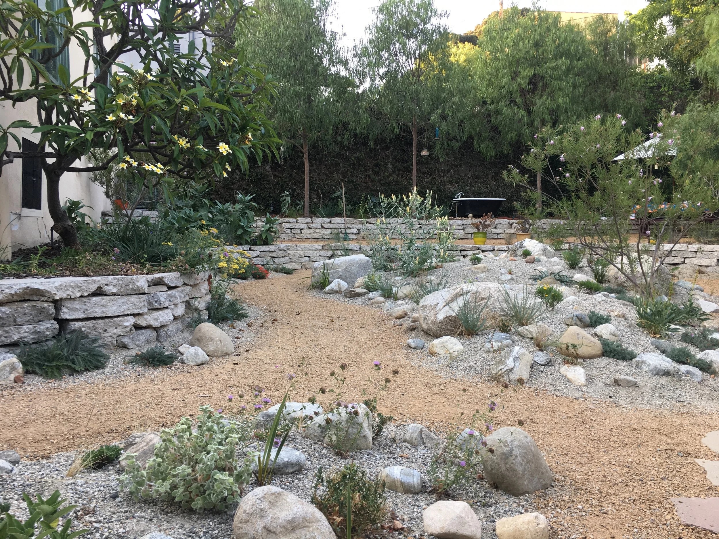 Dry Garden.JPG